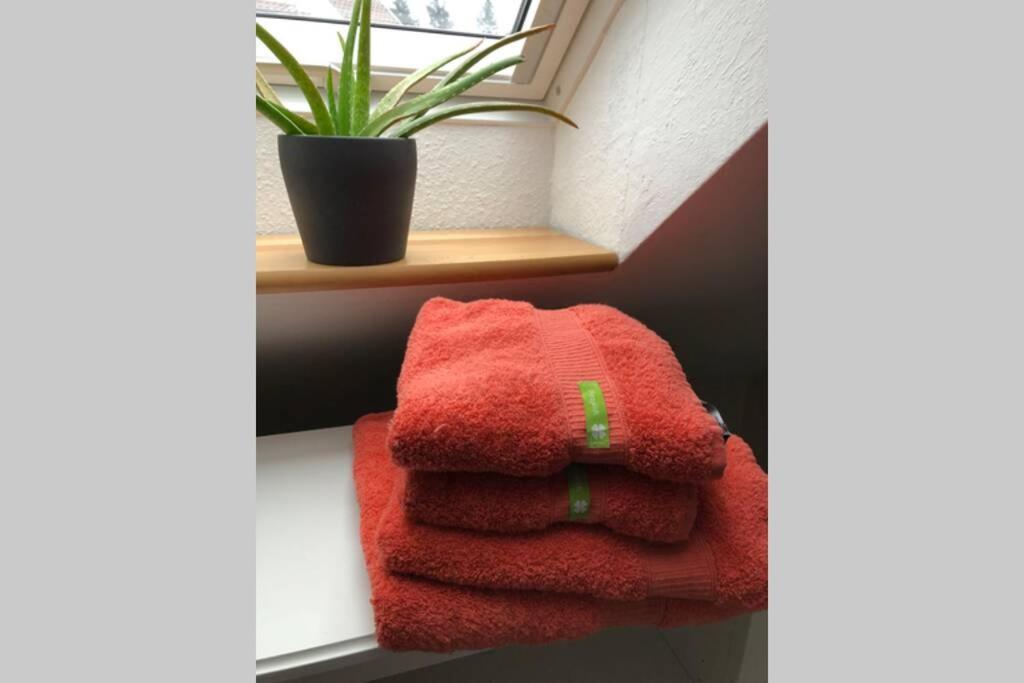 Komfortferienwohnung Harzglueck Auf 2 Etagen Hohegeiß Buitenkant foto