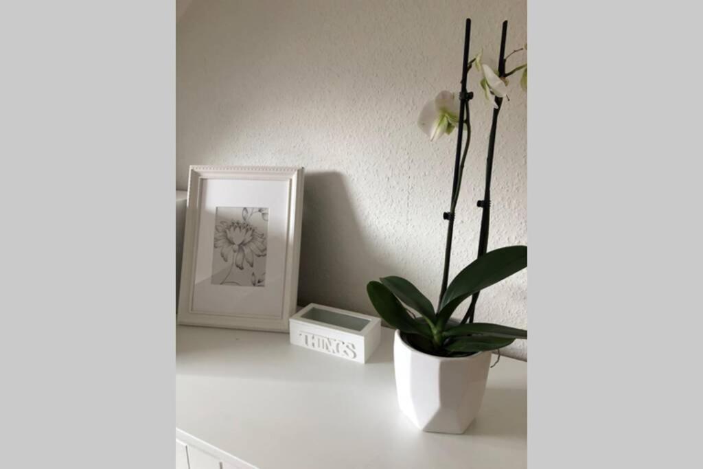 Komfortferienwohnung Harzglueck Auf 2 Etagen Hohegeiß Buitenkant foto