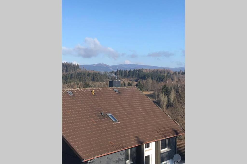 Komfortferienwohnung Harzglueck Auf 2 Etagen Hohegeiß Buitenkant foto